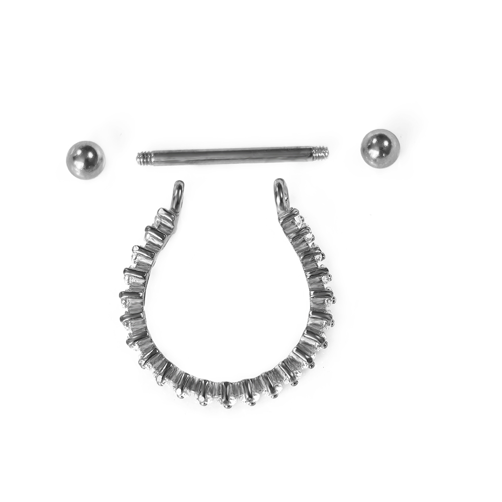 100% 316L Stainless steel Circ - Conch Earring Hoop 评论和价格