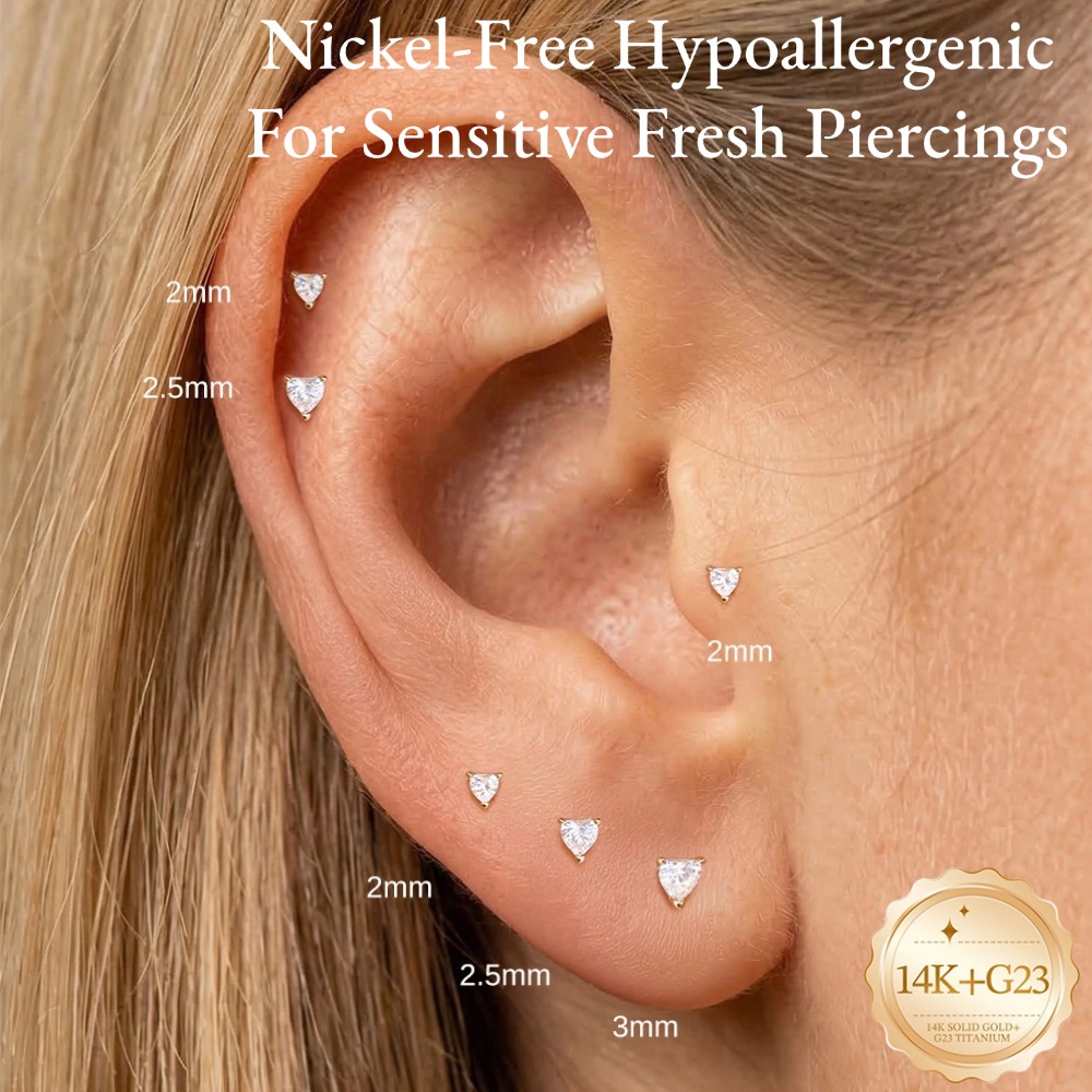 DIeSchein 14K Solid Gold Flat  - Body Jewelry Ear 评论和价格