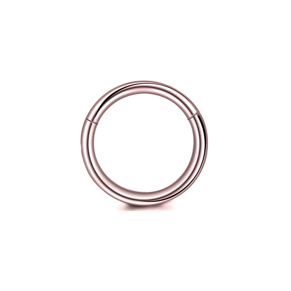 316L Surgical Steel Clicker Se - Conch Earring Hoop 评论和价格