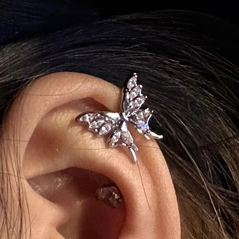 Stainless Steel Gold Color But - Conch Earring Hoop 评论和价格